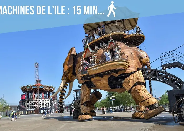 Nid Urbain 33m2 - L'etoile Du Sud - Hyper Centre *