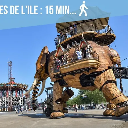 Nid Urbain - L'etoile Du Sud - Hyper Centre *